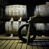 Masters of Distillery Road