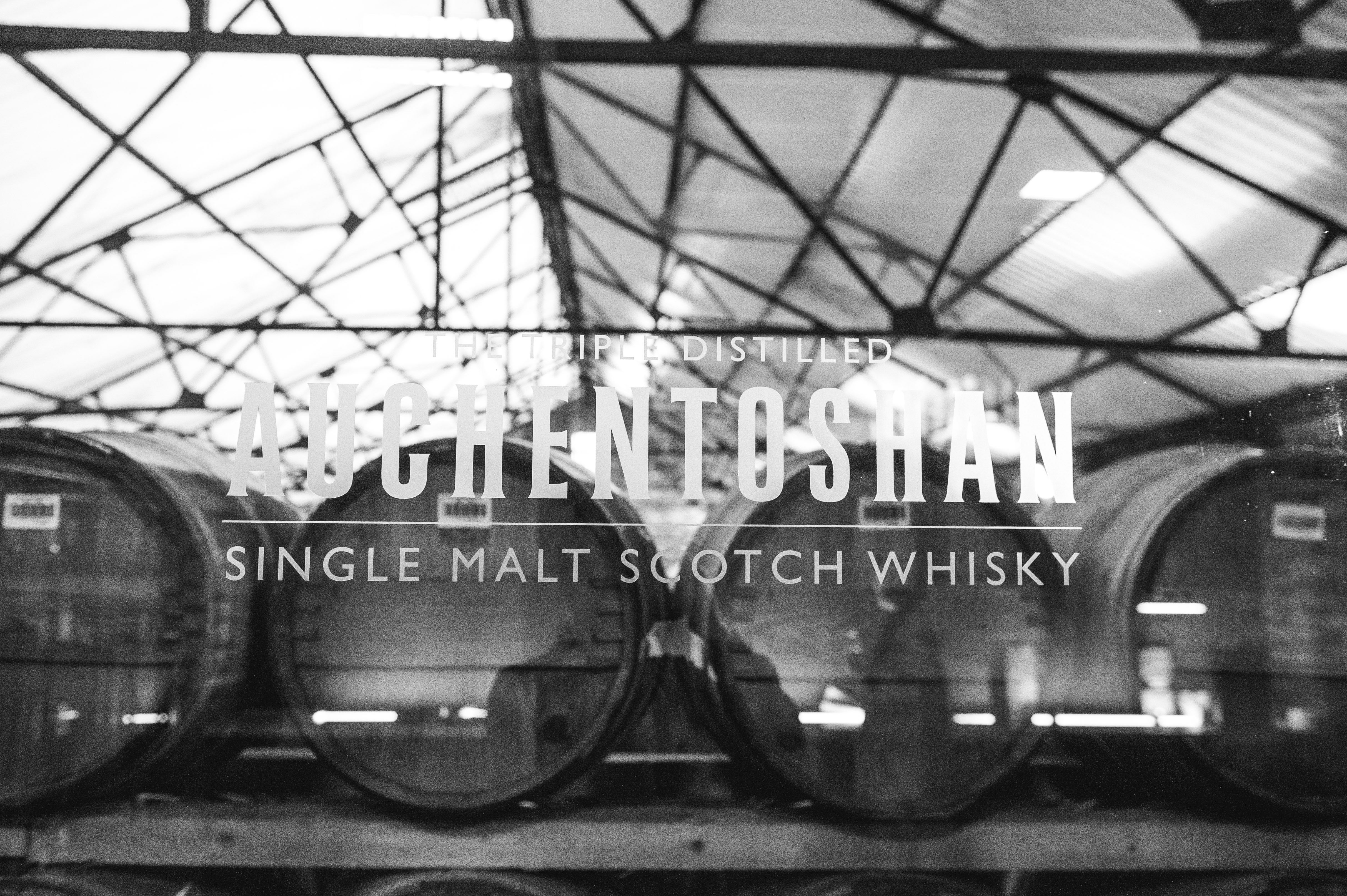 Whisky Tour and Individual Cask Warehouse Tasting Experience